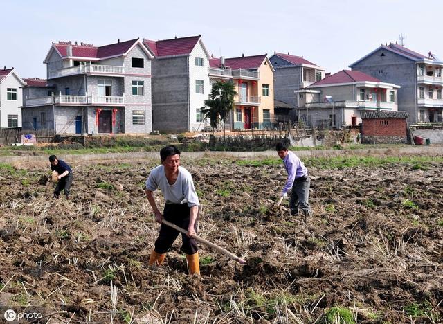 “以征代租”农村土地违法！租出去的土地该如何要回来？