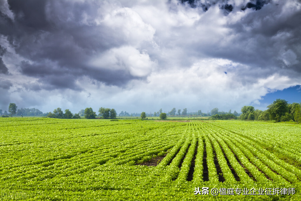 陆迦楠律师：什么是违法建设，农用地能建厂房吗？